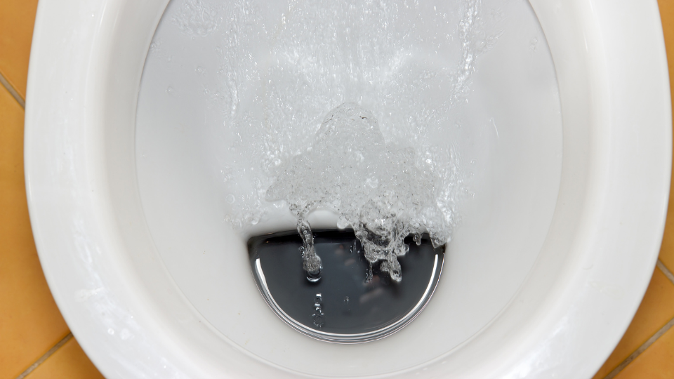 トイレの詰まりの原因⁉︎黒いブヨブヨ？これって何？
