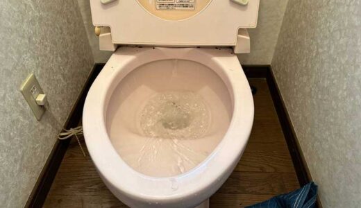 【佐賀県佐賀市】でのトイレの詰まりでお伺いしました。