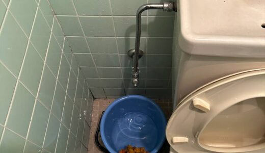 【福岡市早良区】トイレでの水漏れでお伺い致しました。