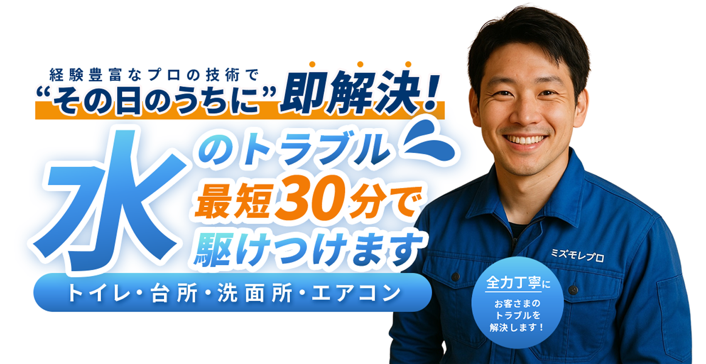ミズモレプロ
