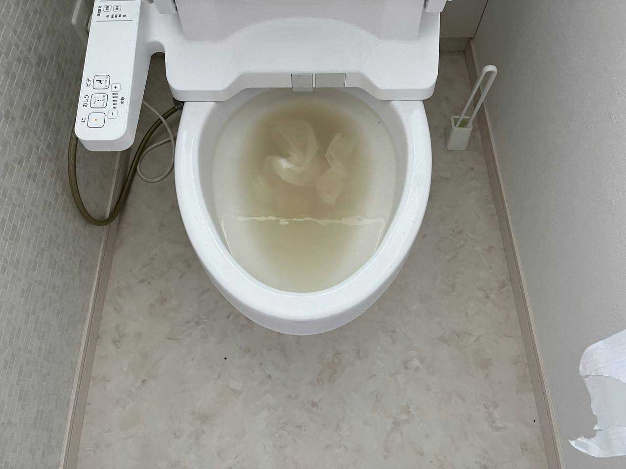 トイレ詰まり Before